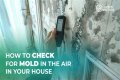 How can I test my home for mold?