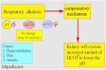 How does hypoxemia cause respiratory alkalosis
