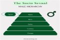 What is alpha personality?