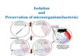 What is bacterial isolation
